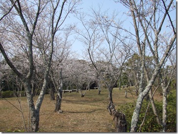 横から