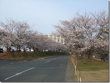 市民体育館前