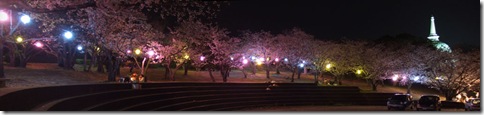 仏舎利塔と夜桜
